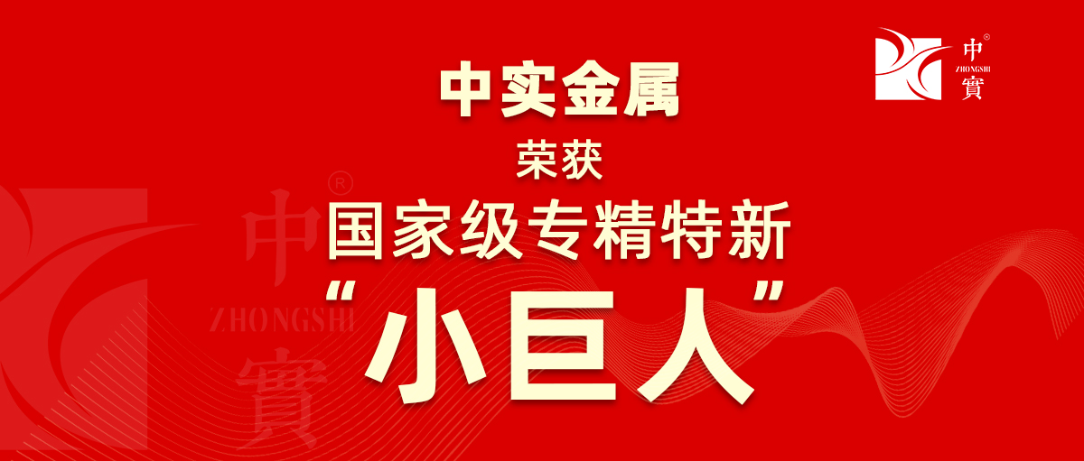 【喜訊】中實(shí)金屬獲評(píng)為廣東省第六批專精特新“小巨人”企業(yè)